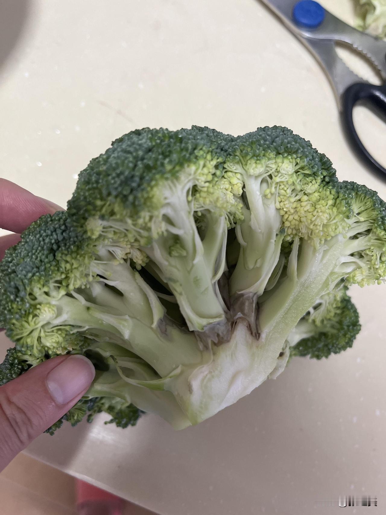 早上想着给餐桌添份新鲜，特意为午餐选了颗近10块的西兰花，本想着新鲜食材能让菜品
