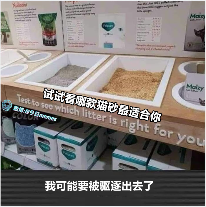 得撅高（9gag）今日meme 今日memes