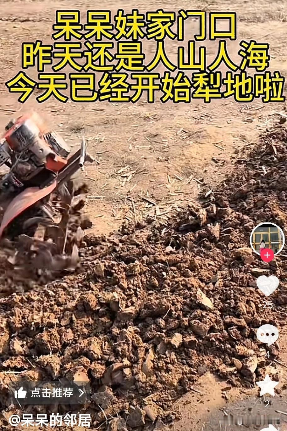 呆呆火爆全网后有一个现象令人不解，现场几千人的聚集占用了几十亩面积，而且还是耕地