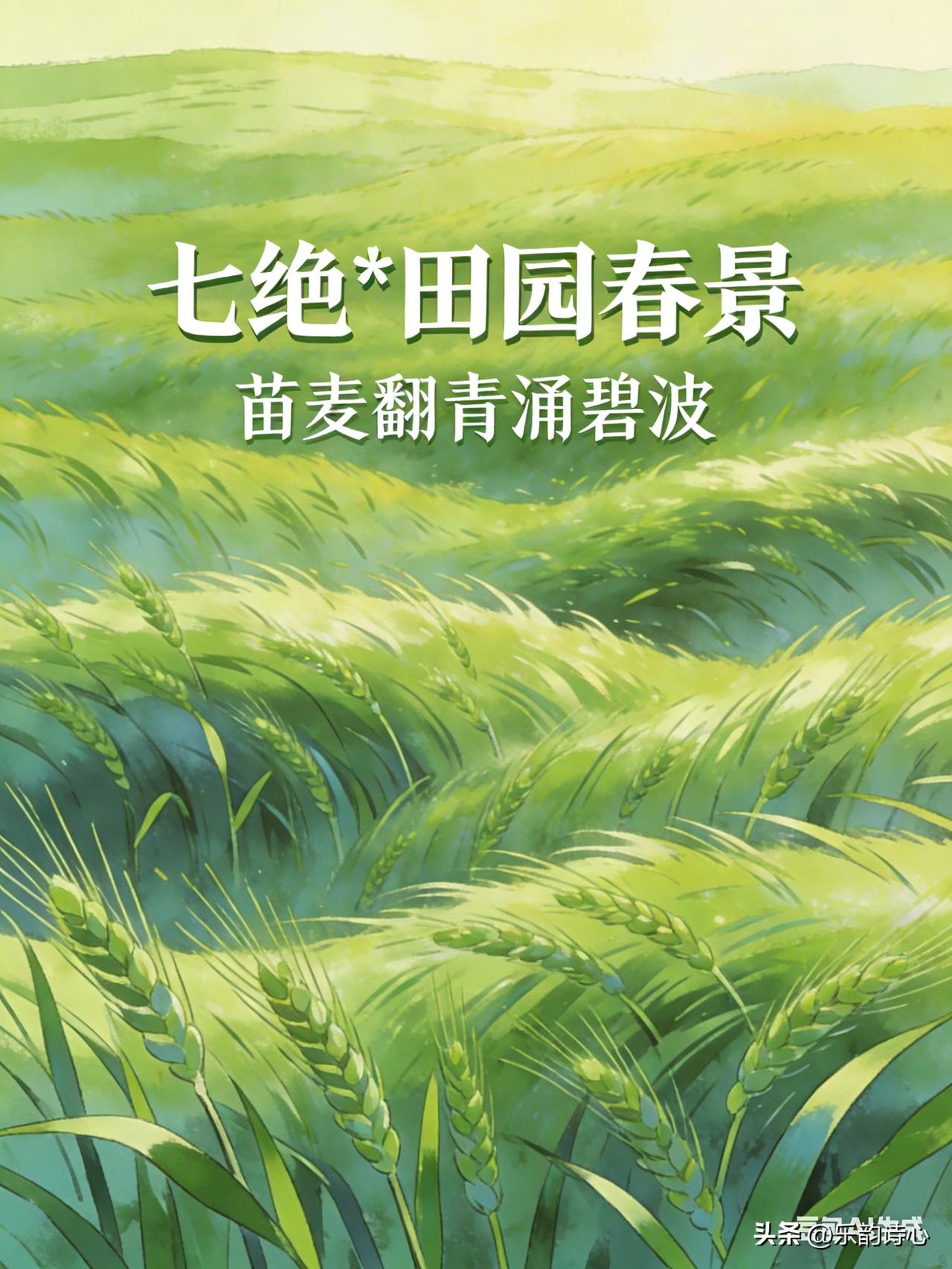 《七绝·田园春景》乐韵诗心原创诗词:
苗麦翻青涌碧波，
风携香韵漫千坡。
黄花铺