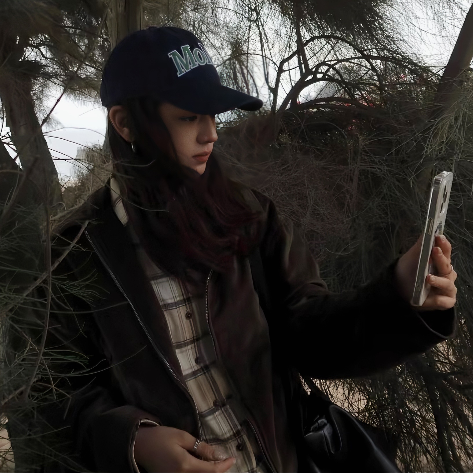 心里的蜘蛛模仿人类张灯结彩 