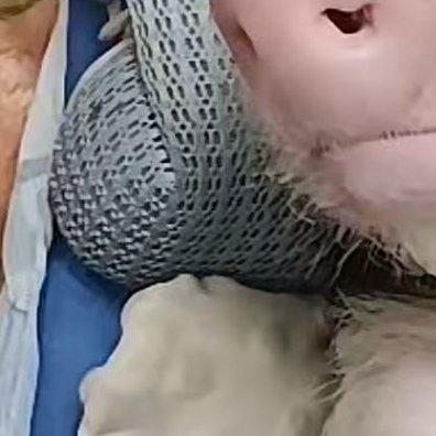 0000每日一善 克服惰性和游离的心绪，投入理性而自律的生活。勤奋是你生命的密码