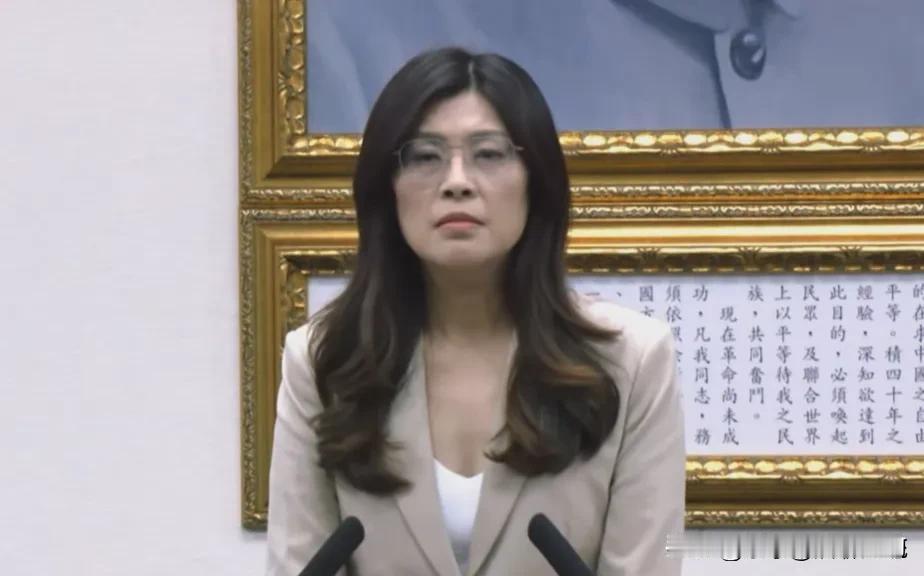 郑丽文怒了，说要做好万全的准备，从现在开始，跟民进党作战到2028最后一天。
