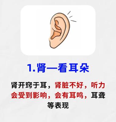 对照自查：从眼耳口鼻舌，读懂五脏状态
