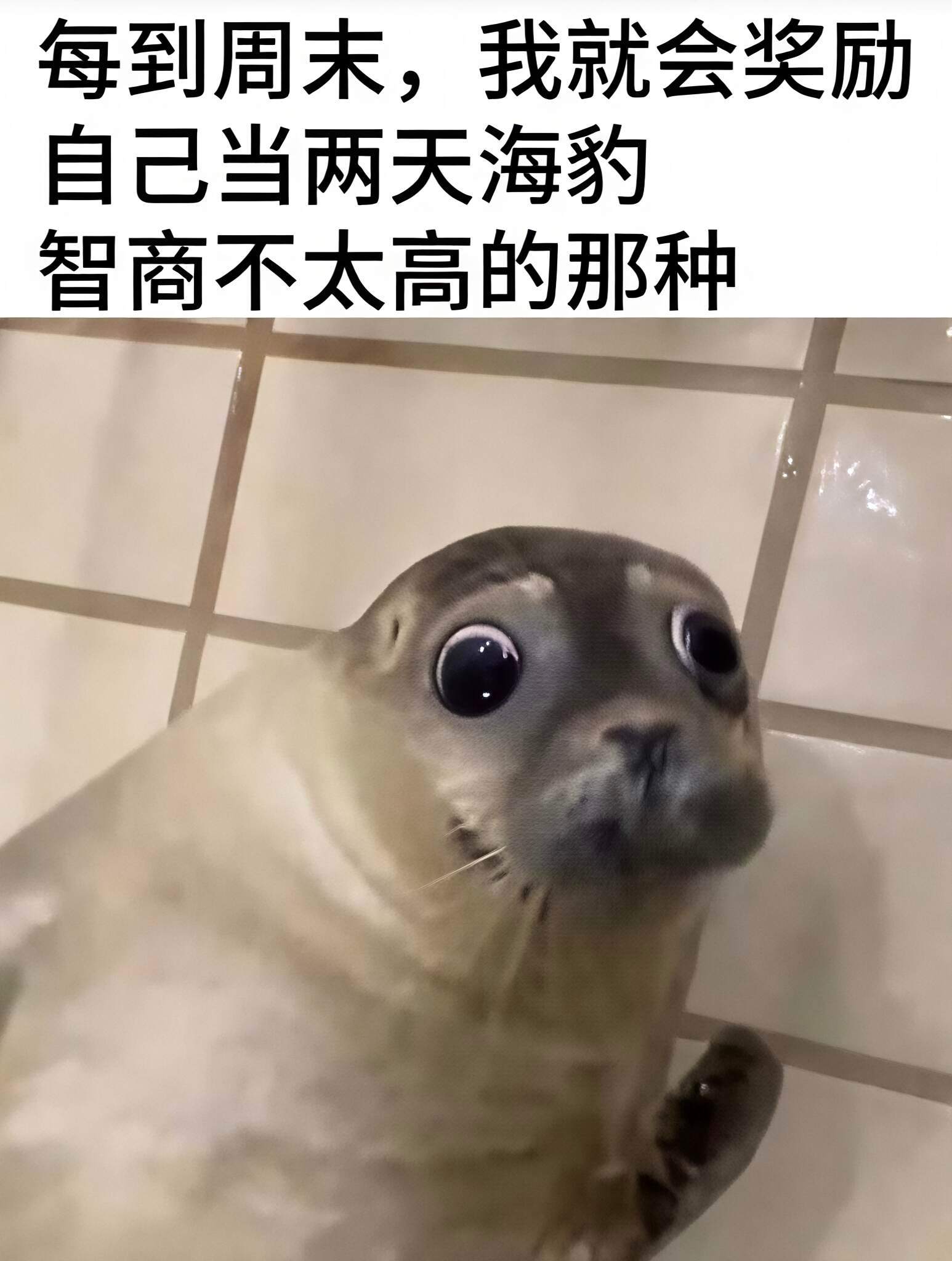一些轻松的、淡淡幽默的无厘萌memes梗图 