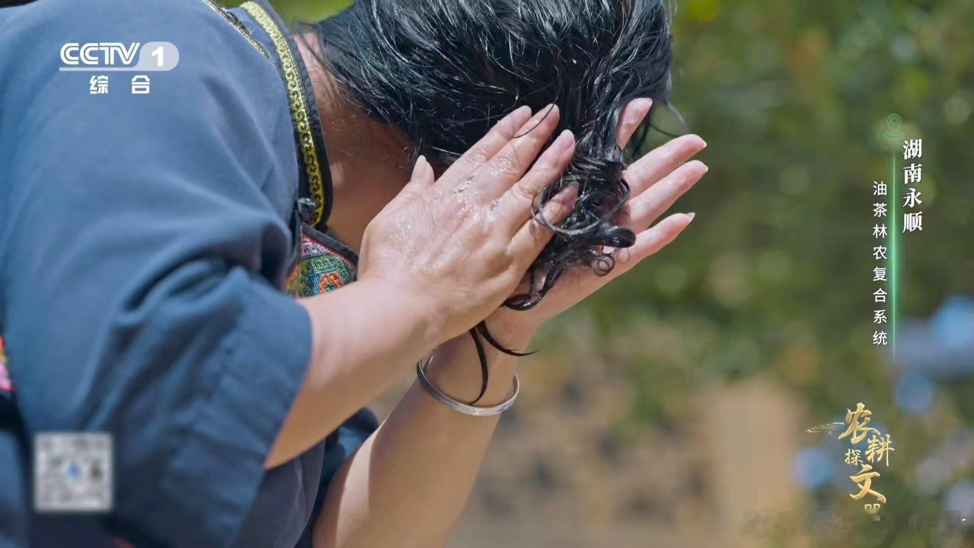 油茶榨干成了洗头神器 茶油点亮灶台，茶枯浸润发梢。湖南人将「物尽其用」哲学融入生