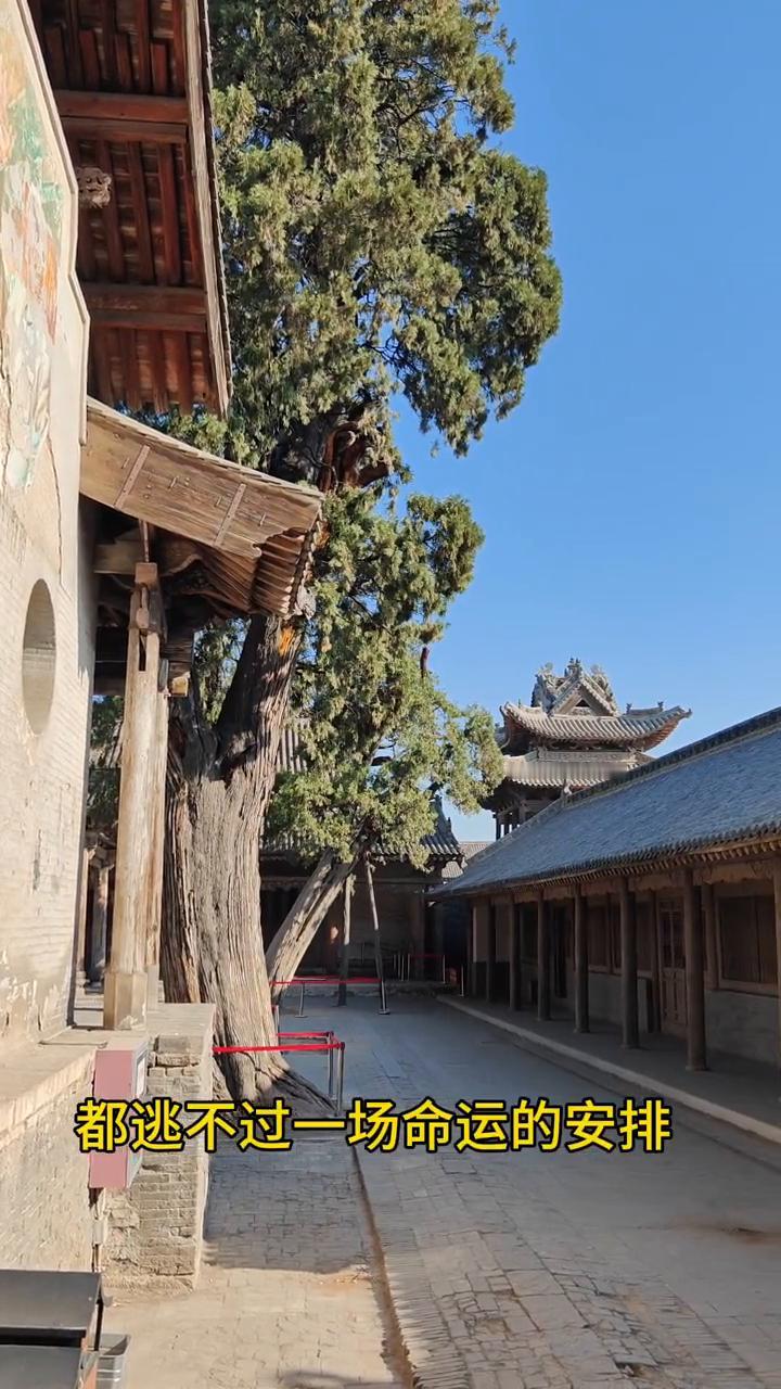 人这一辈子，该吃的苦，该走的弯路，该掉的陷阱，该撞的南墙，一个都不会少。无论你怎