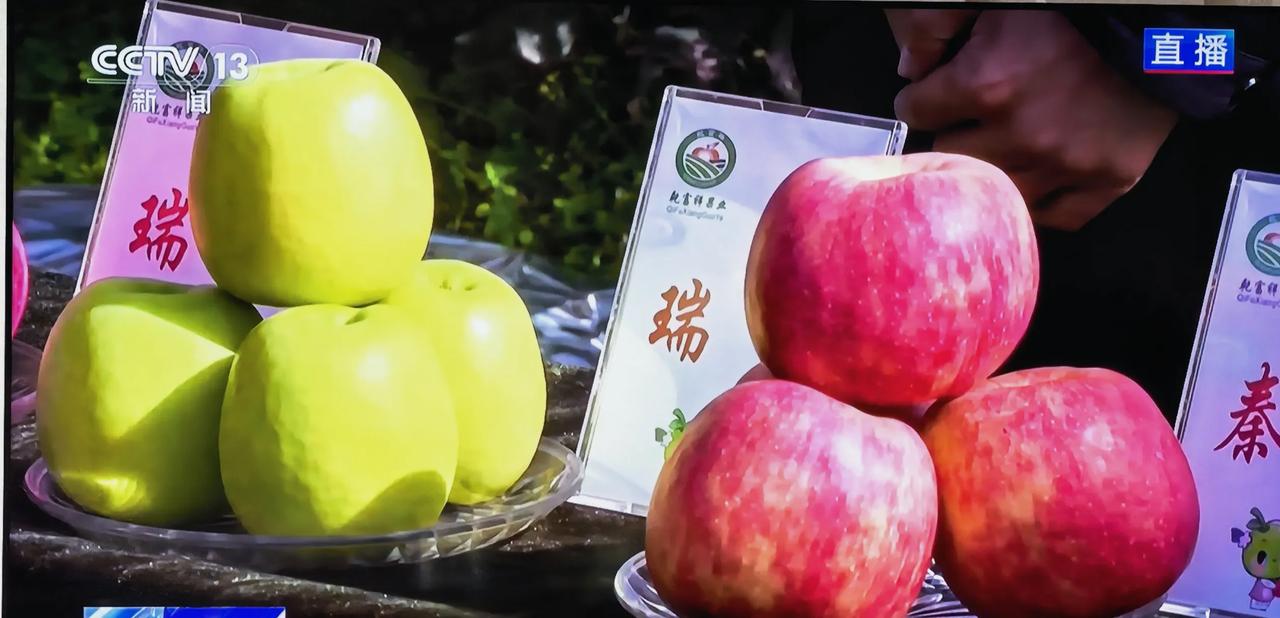 厉害了，长武苹果！
上央视了。