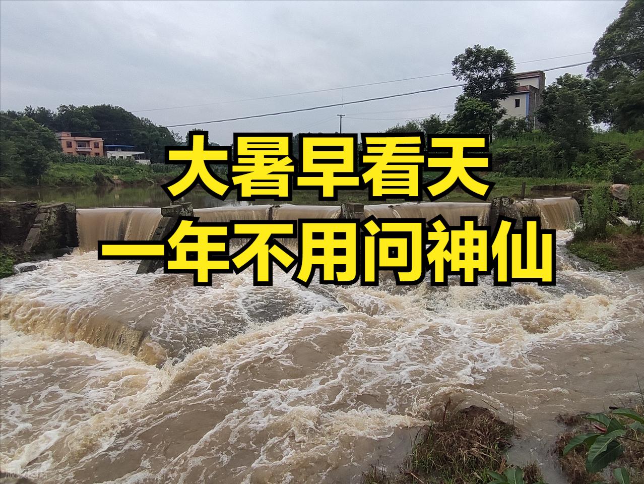 “大暑早看天，一年不用问神仙”，今日大暑，有啥预兆？

今日7月22日，农历六月