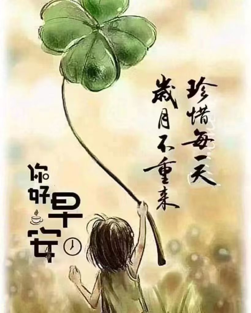 分享图片 