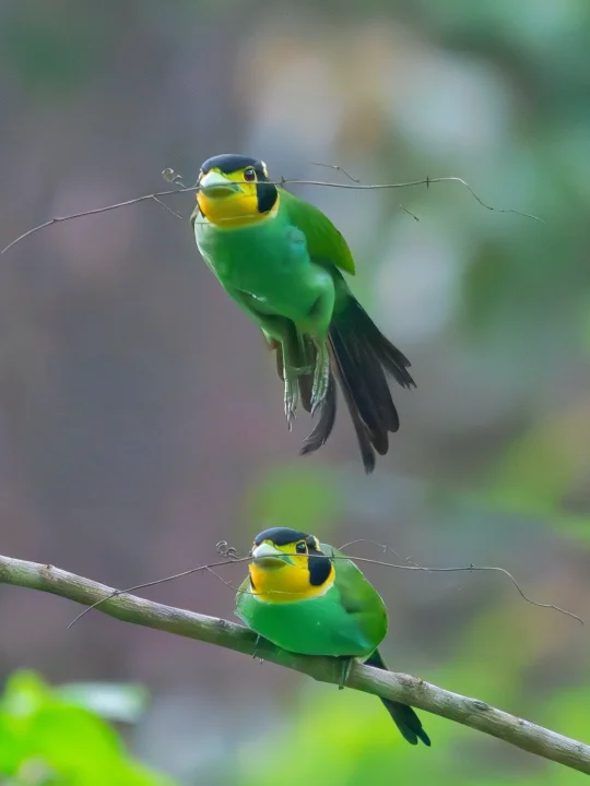 小钢盔已就位，随时弹射起飞