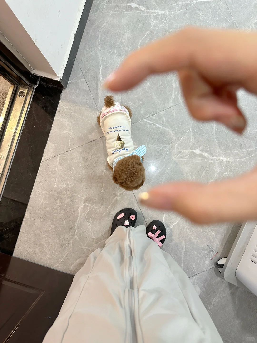 掉在地上的小炸鸡 要不要捡起来？