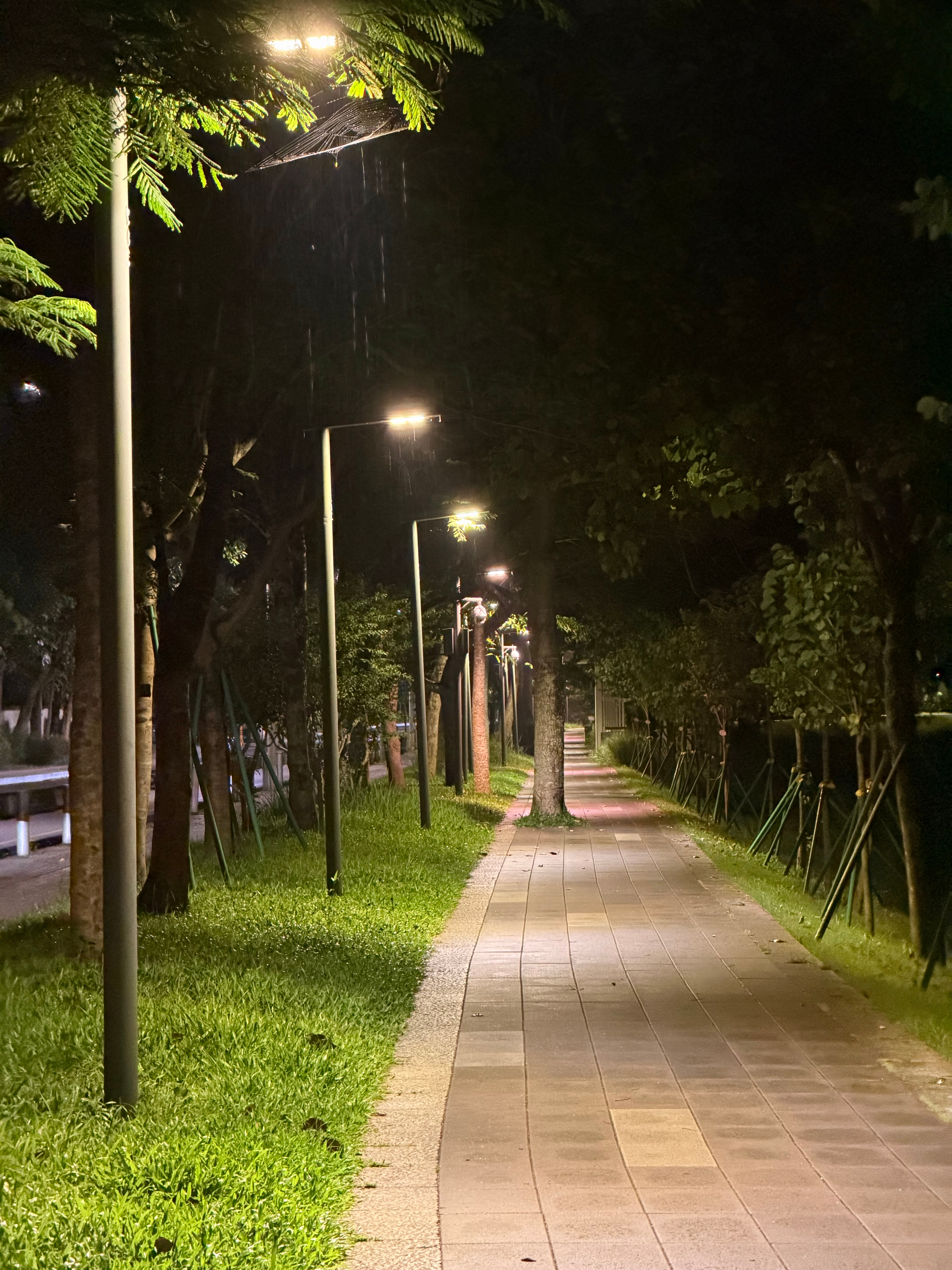 跑着跑着，下雨了啊，只能暂停了[偷笑]  ​​​