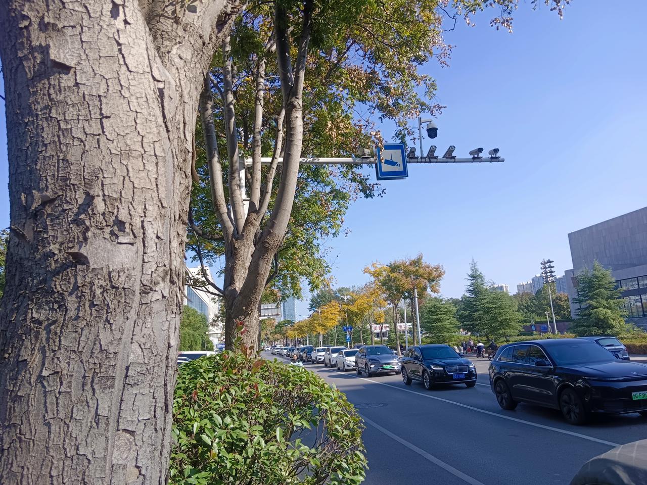 银雀山上无银雀，北马道旁少马鸣。
​秋深霜重菊花艳，午后日暖徐徐行。
​河东年少