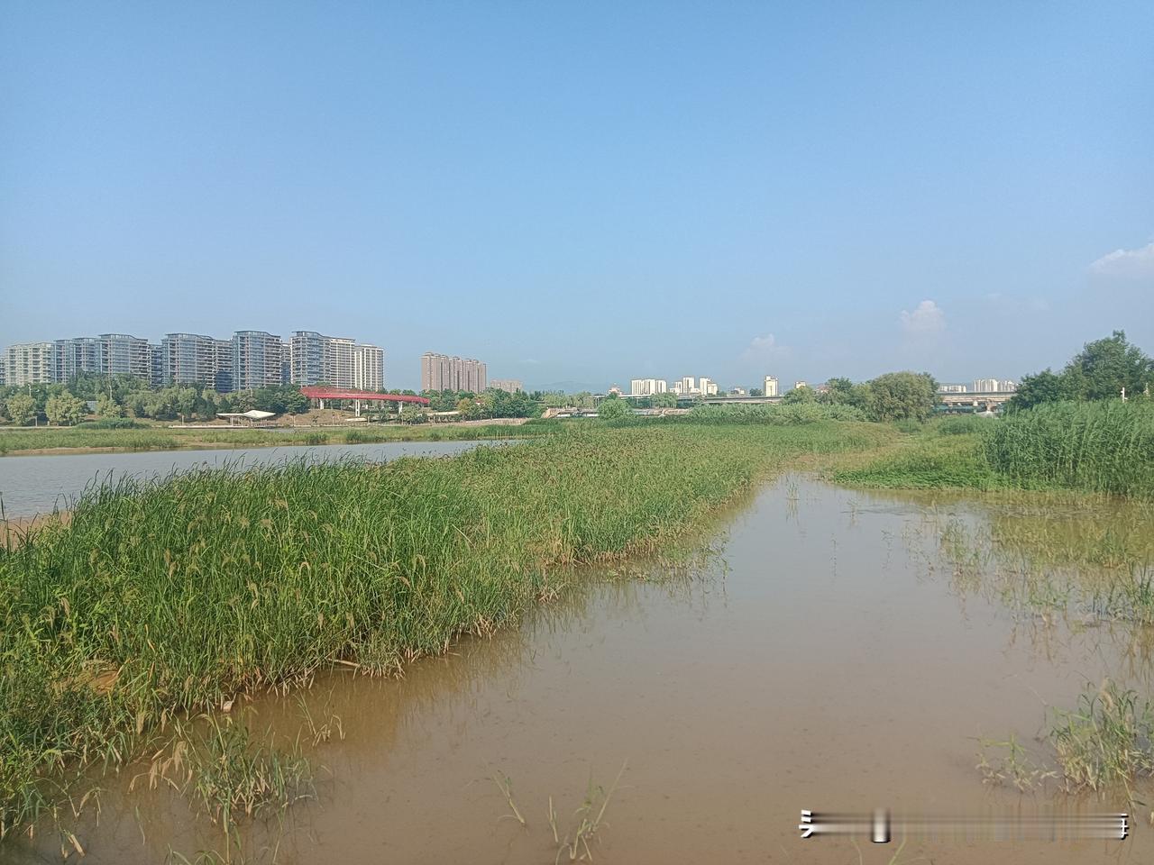 周五的下午，我到灞河西岸滨河公园看河景。世园会公园外围这一段灞河风景区在古时候的