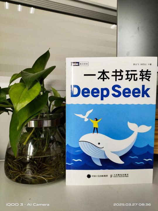 图灵好书我推荐 deepseek 大模型 deepseek教程