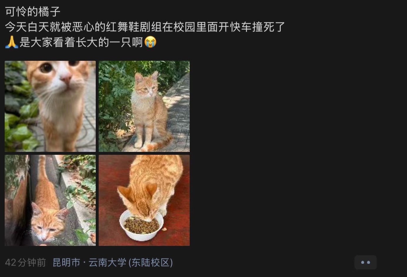周也新剧《红舞鞋》继被爆出压榨大学生群演后，又被爆出剧组开快车撞4️⃣了学校里的