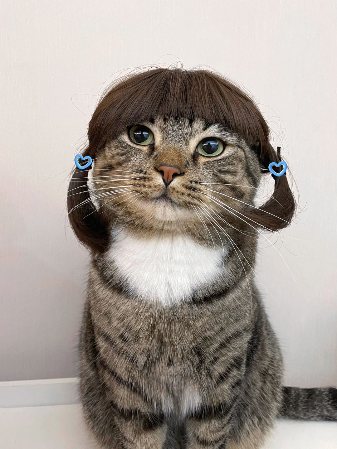 猫猫帮大家试过了，脸大千万别剪这几种发型！