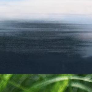 人生感悟 “人不能总待在自己的命运里痛哭”“人只要铆足劲往前走，就一定会有新的东