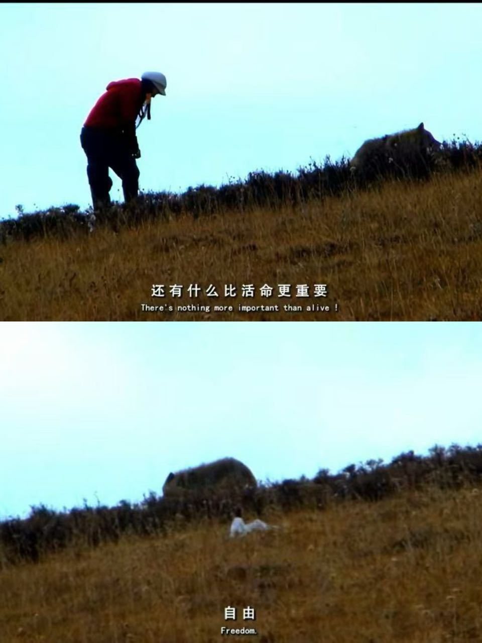 2633观看纪录片的时候看到这句话会想到... ​​​