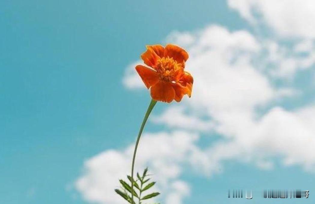 秋乘落叶去
冬随飘雪来

再出一联：

春惹绿芽
夏引蝉鸣

求下联？

友友请