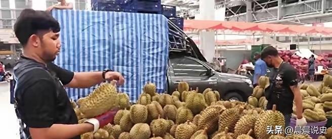 4万吨榴莲烂成废果！菲律宾做的荒唐美梦，狠狠被中国市场打醒
 
今年，菲律宾果农