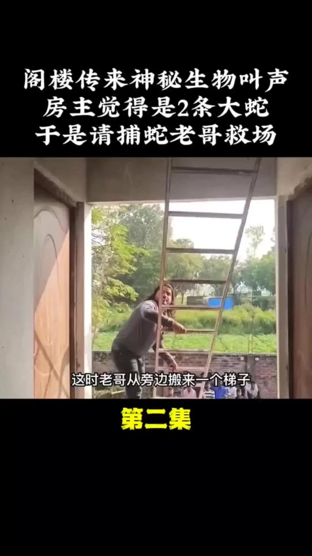 我的观影报告 内容启发搜索 野生动物零距离 人与自然和谐共处