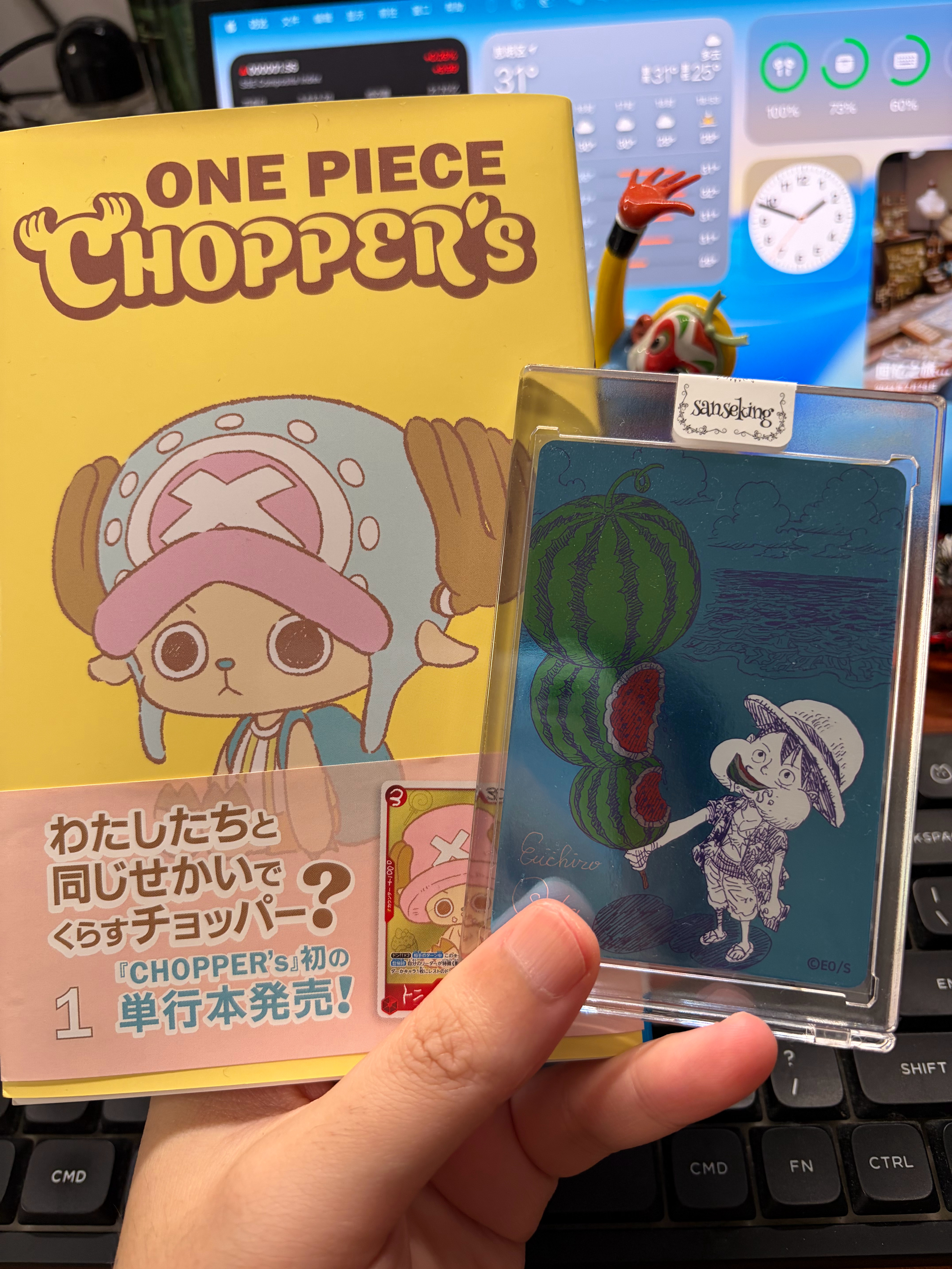 吃瓜王路飞