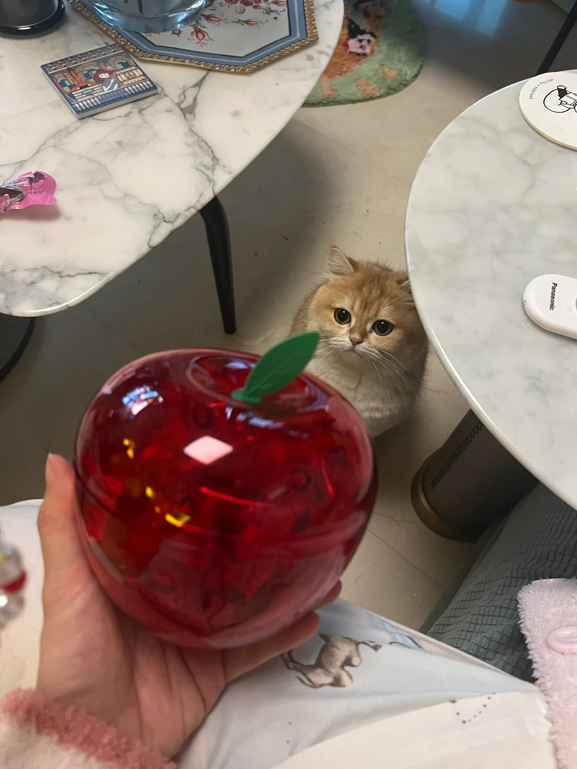 圣诞节是个什么结？🎄