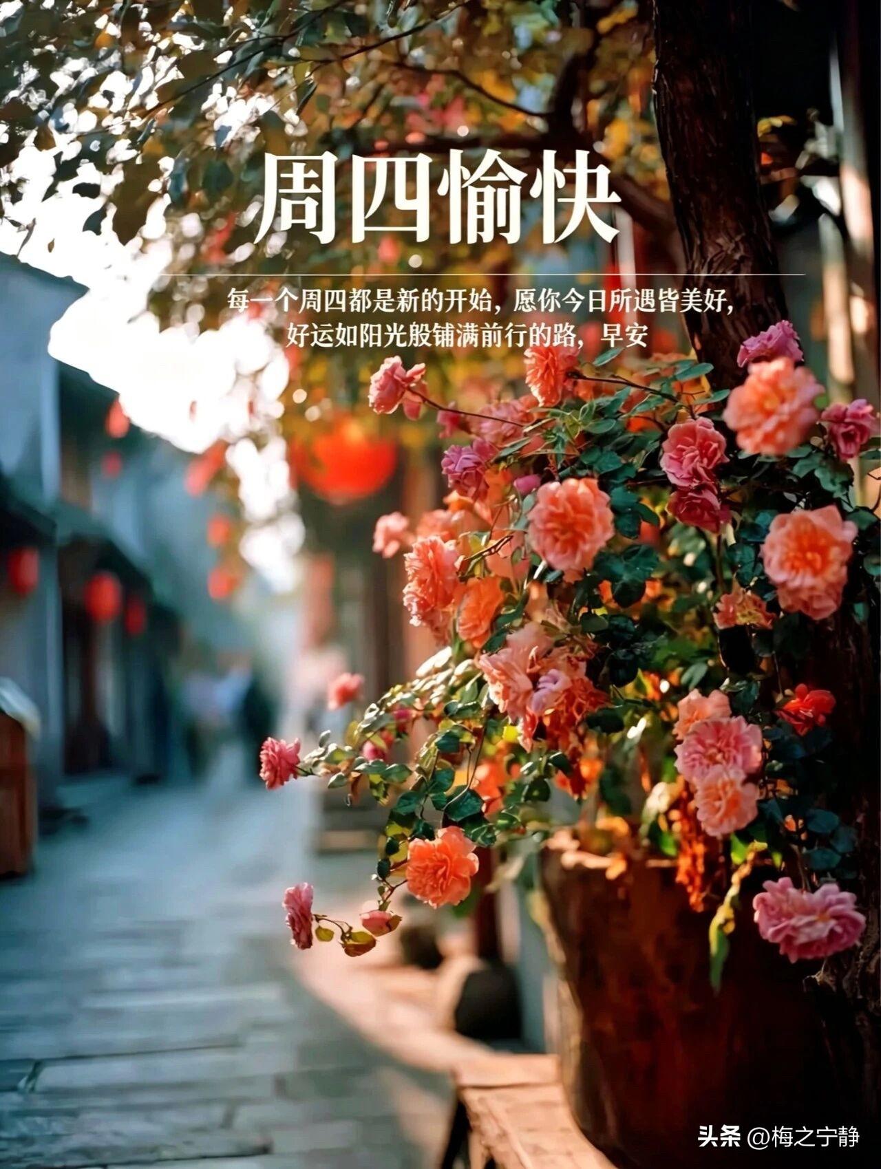 🍂²⁰²⁶/₁₀.₂₂ ᵕ̈ 🌞周四早安｜岁岁清欢☕️🍒🍑
晓光漫秋野，