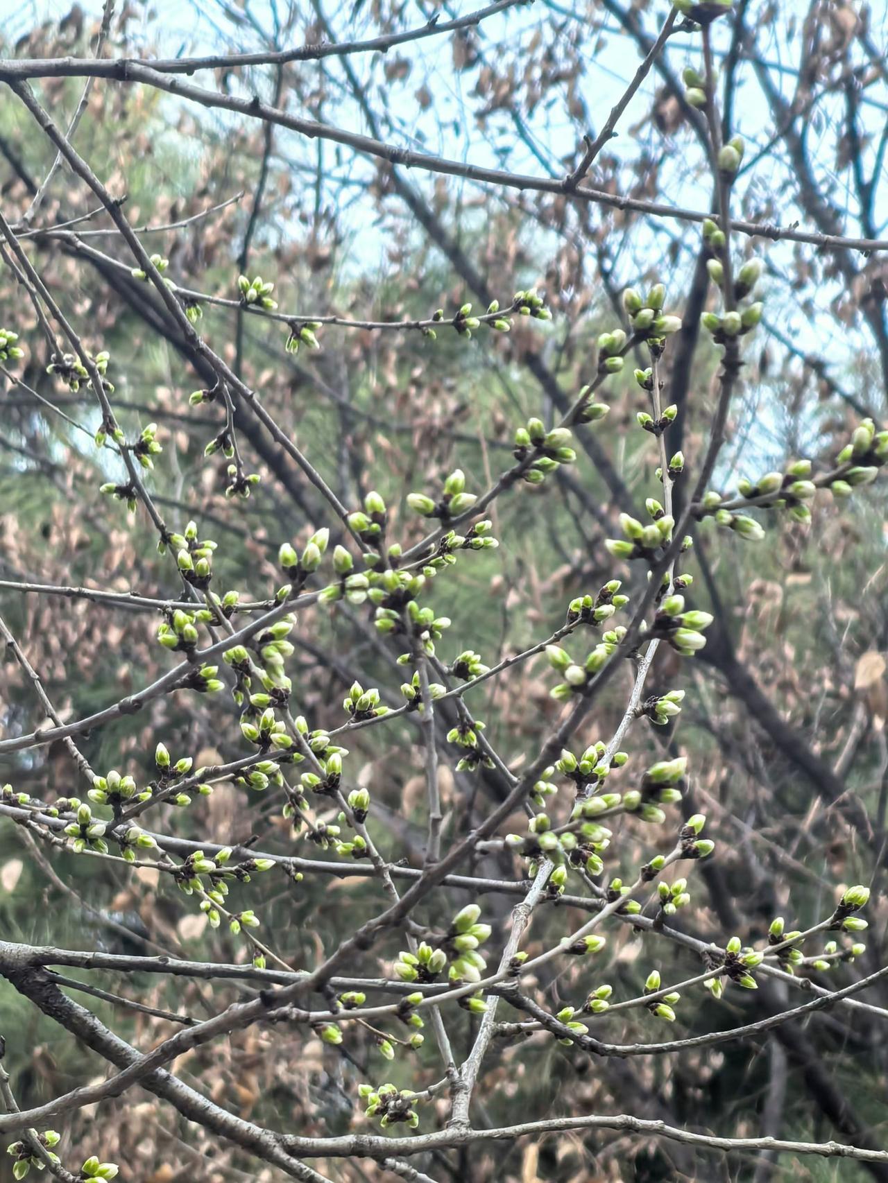 中国最好的自行车是哪个牌子的中国最好的自行车应该是永久牌自行车。