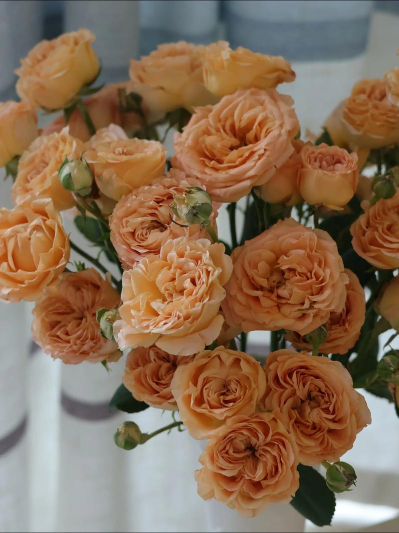 下联：浪子流连杏色中。