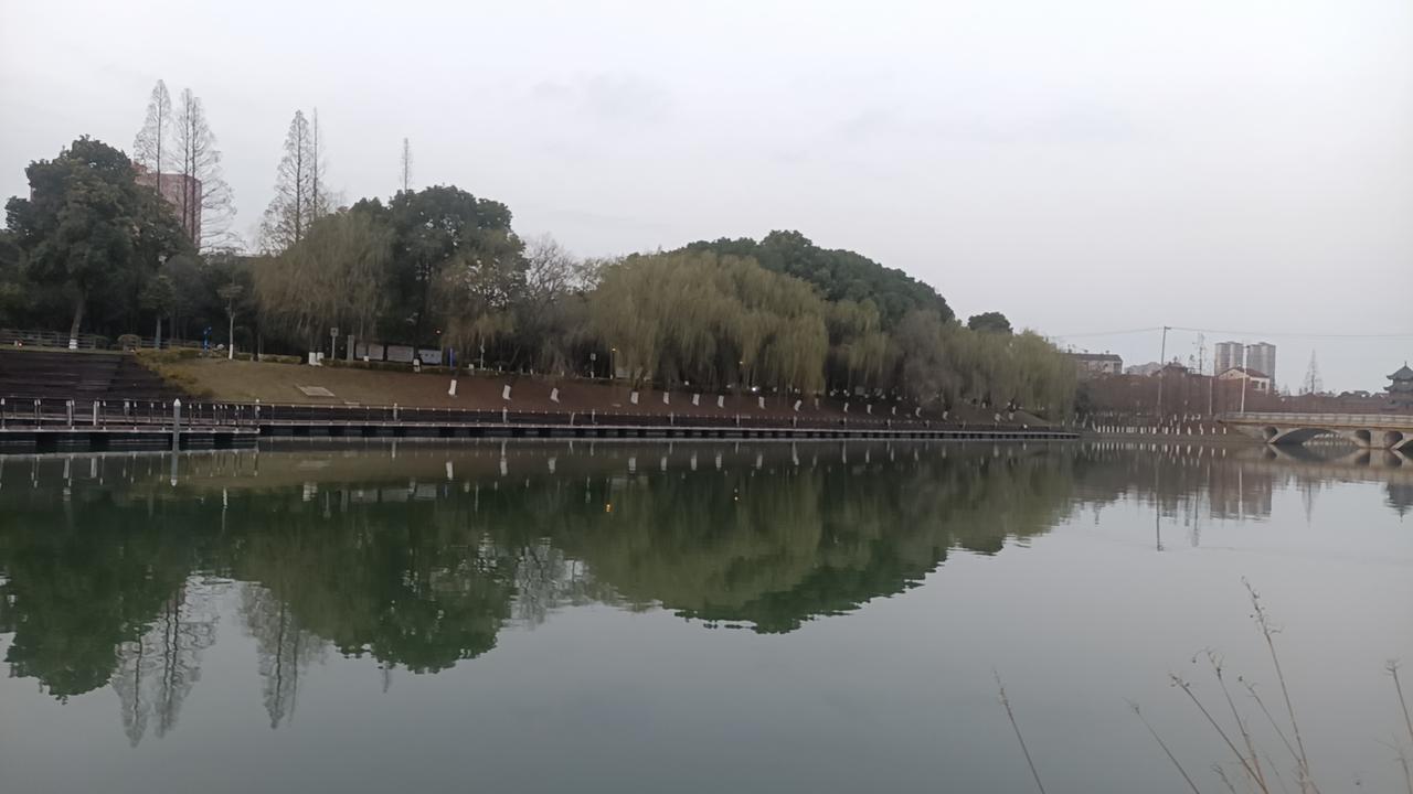 真正让人踏实的安全感，大概是这几样：
 
- 手里有钱，遇事不慌，有选择的底气