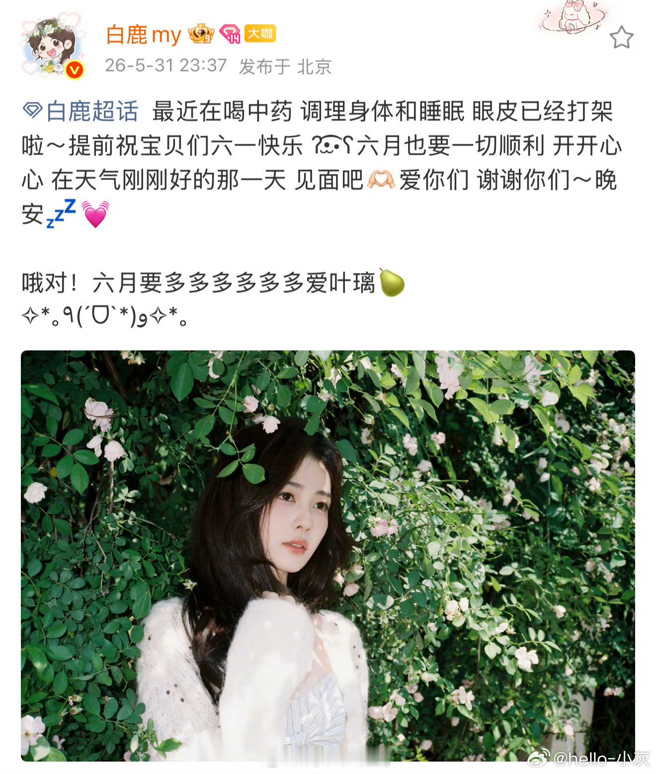 白鹿喝中药调理身体和睡眠注意身体啊 