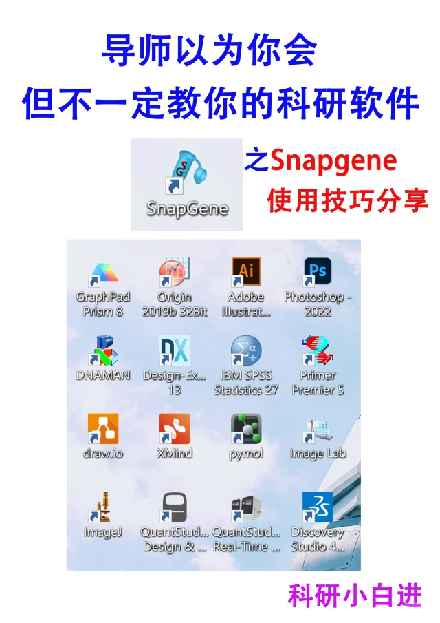 🔥导师以为你会，但不一定教你的科研软件