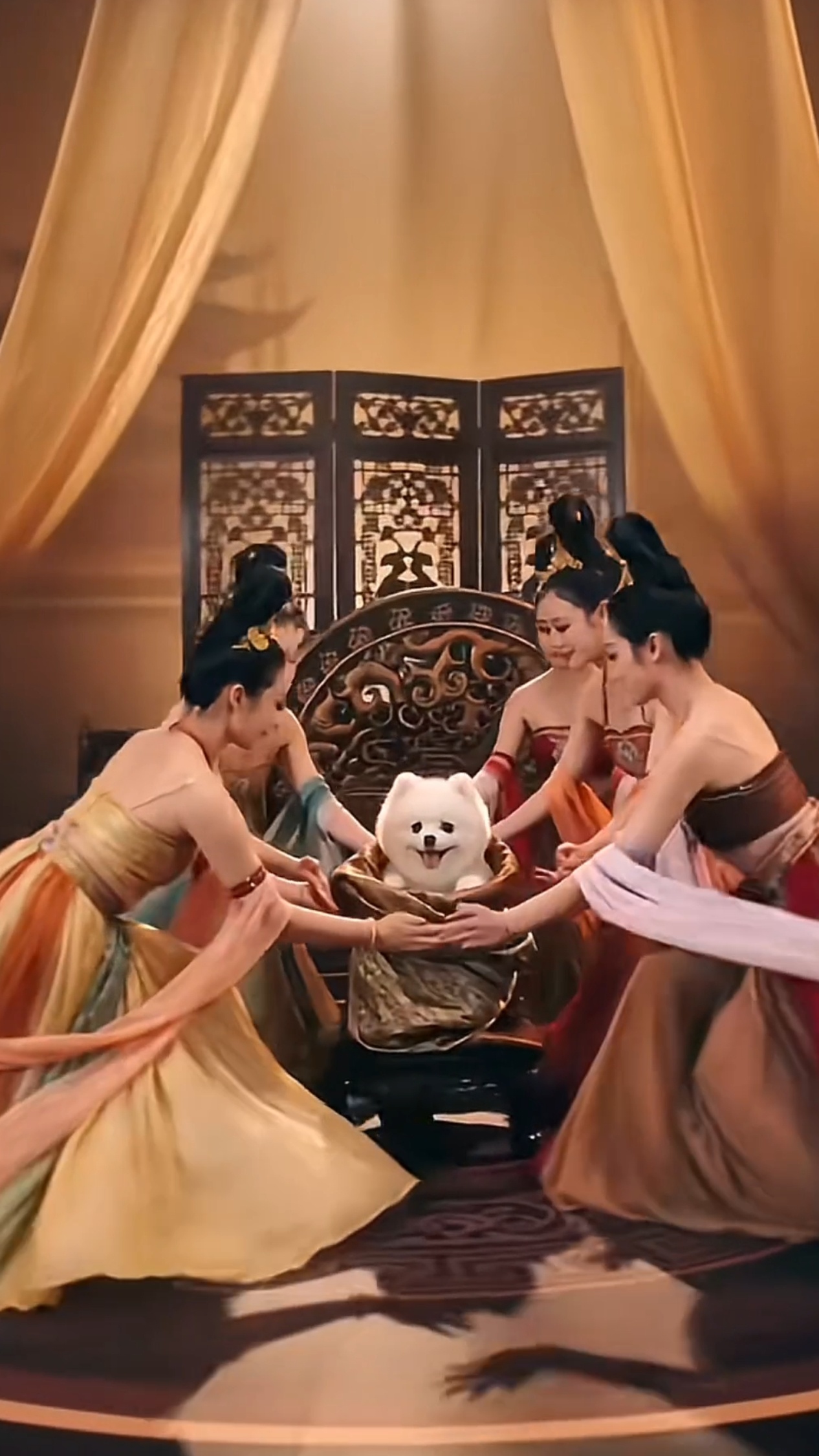 🐶皇帝就是不一样，还得美女围着跳舞 