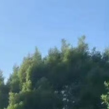 钓水，逸事也，尚持生杀之柄；弈棋，清戏也，且动争战之心。可见喜事不如省事之为适，
