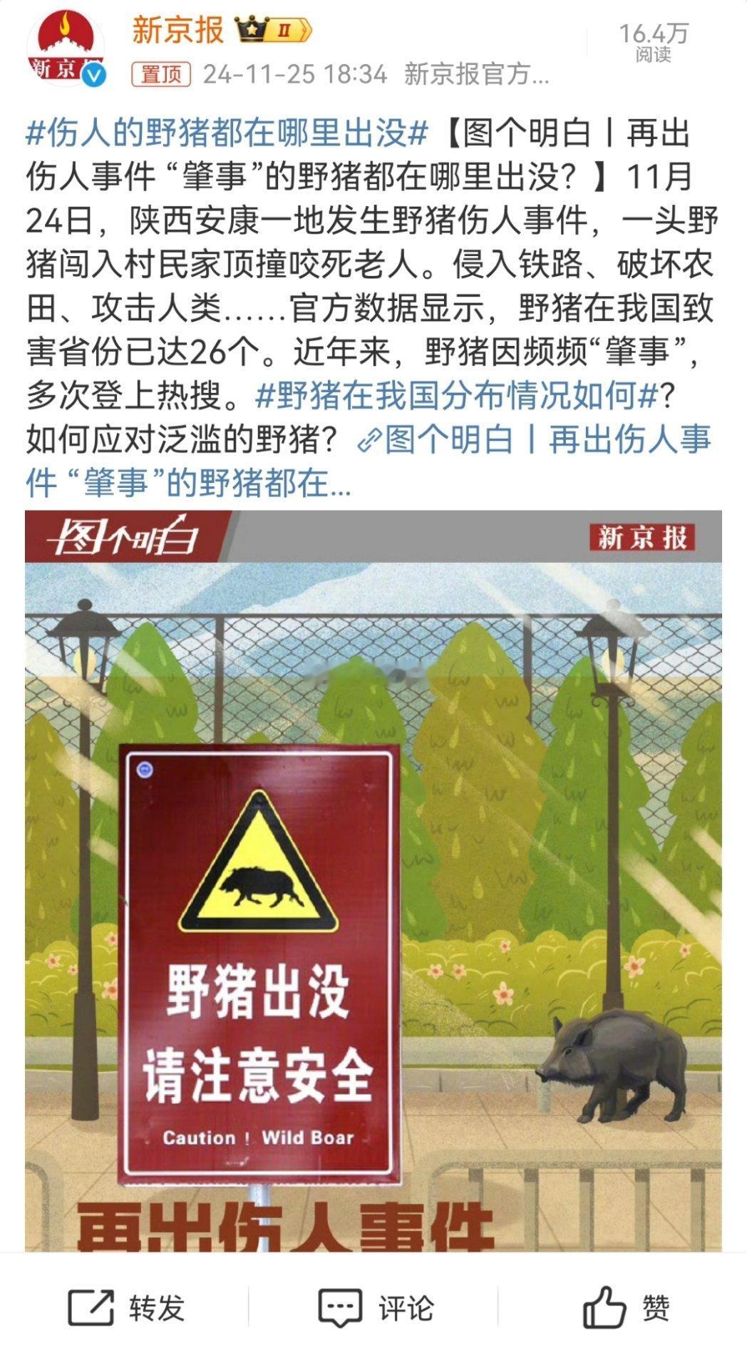 伤人的野猪都在哪里出没 野猪一点不讨人喜欢，不仅长得丑，还非常的凶猛，性情无常。