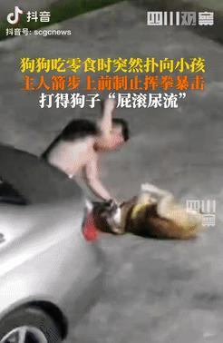 这才是真正的爱犬人士！7月3日，湖南湘潭，一男子正在给狗喂零食吃，突然狗子就冲向
