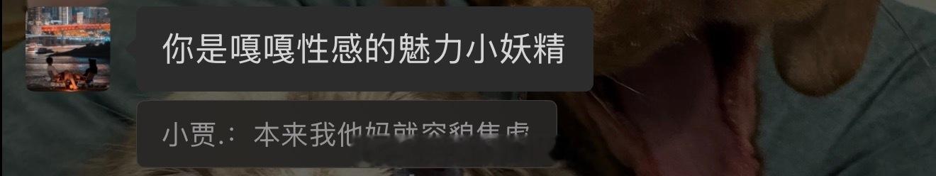 全世界最肯定我外貌的三人邹 神婆 胡图 