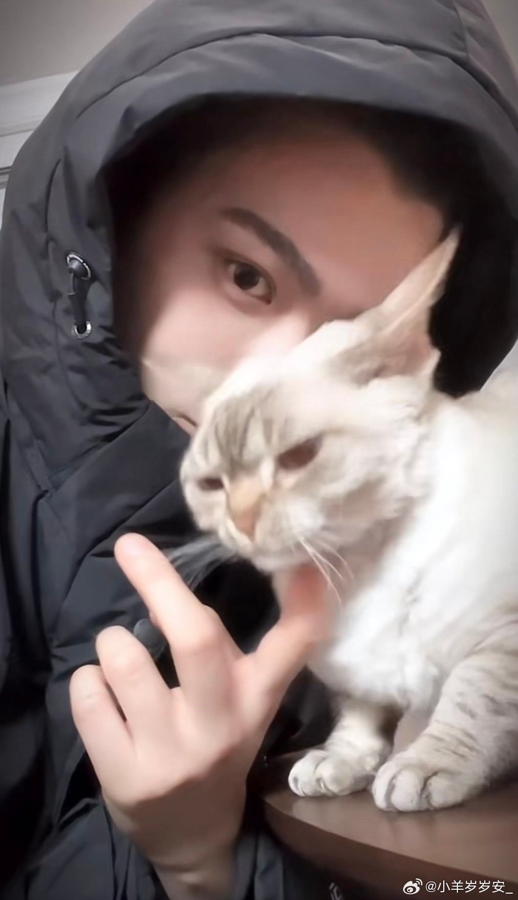 丁禹兮[超话] 💚丁禹兮卫韫 💚丁禹兮张海虾 你是晚风的渐息，是空中的星海，