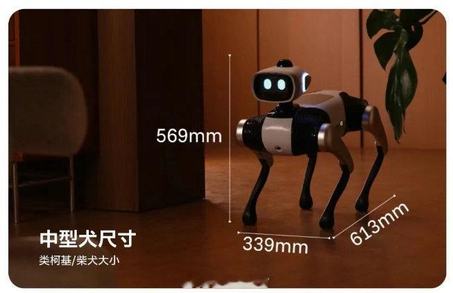 维他动力宣布全球首款无需遥控的智能机器狗“大头 BoBo”将开启公测。2026 