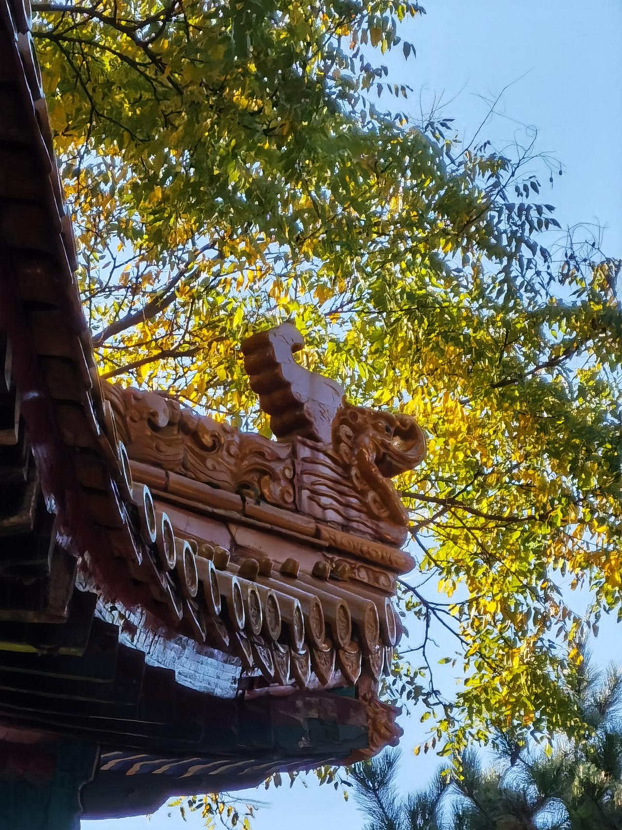 避暑山庄内的文津阁是清朝四大皇家藏书阁之一 ， 其他三个是北京故宫文渊阁、圆明园