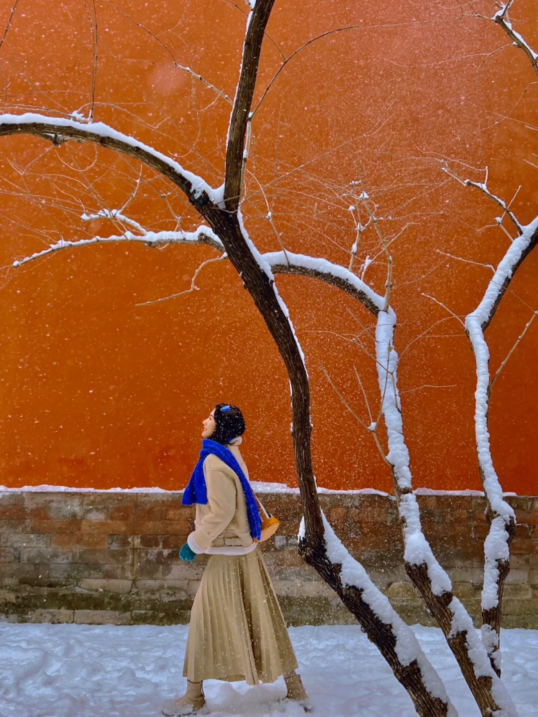 北京初雪❄️太庙的雪景大片一点不输故宫啊‼️