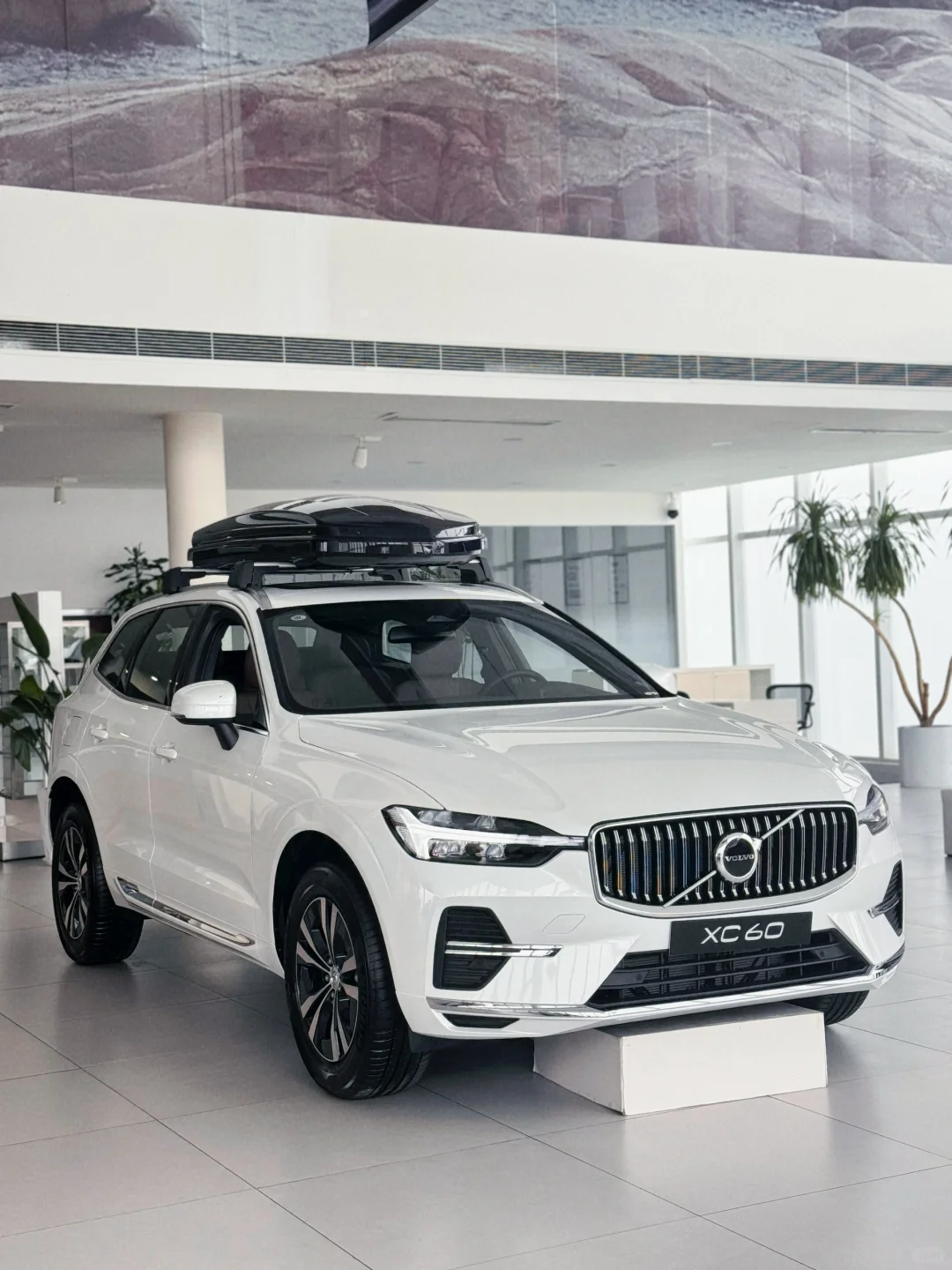 夏日炎炎，沃尔沃XC60陪你安全畅游都市🚗