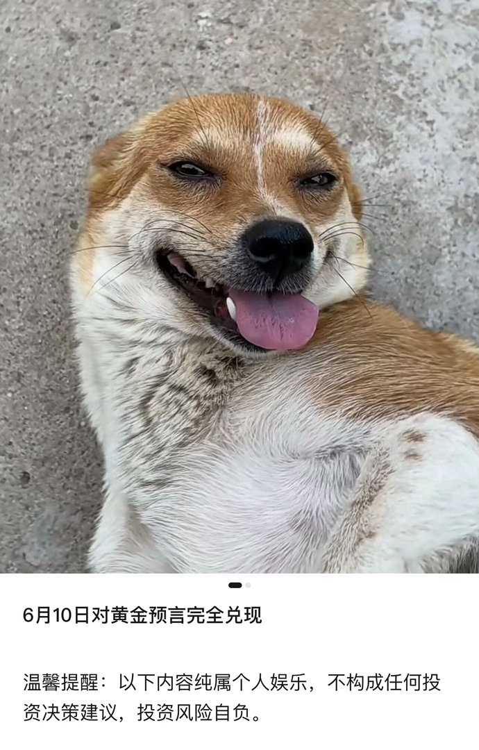黄金重回4300美元 玄学核心是易学的“象数思维”，取类比象仅仅是入门方法，而非