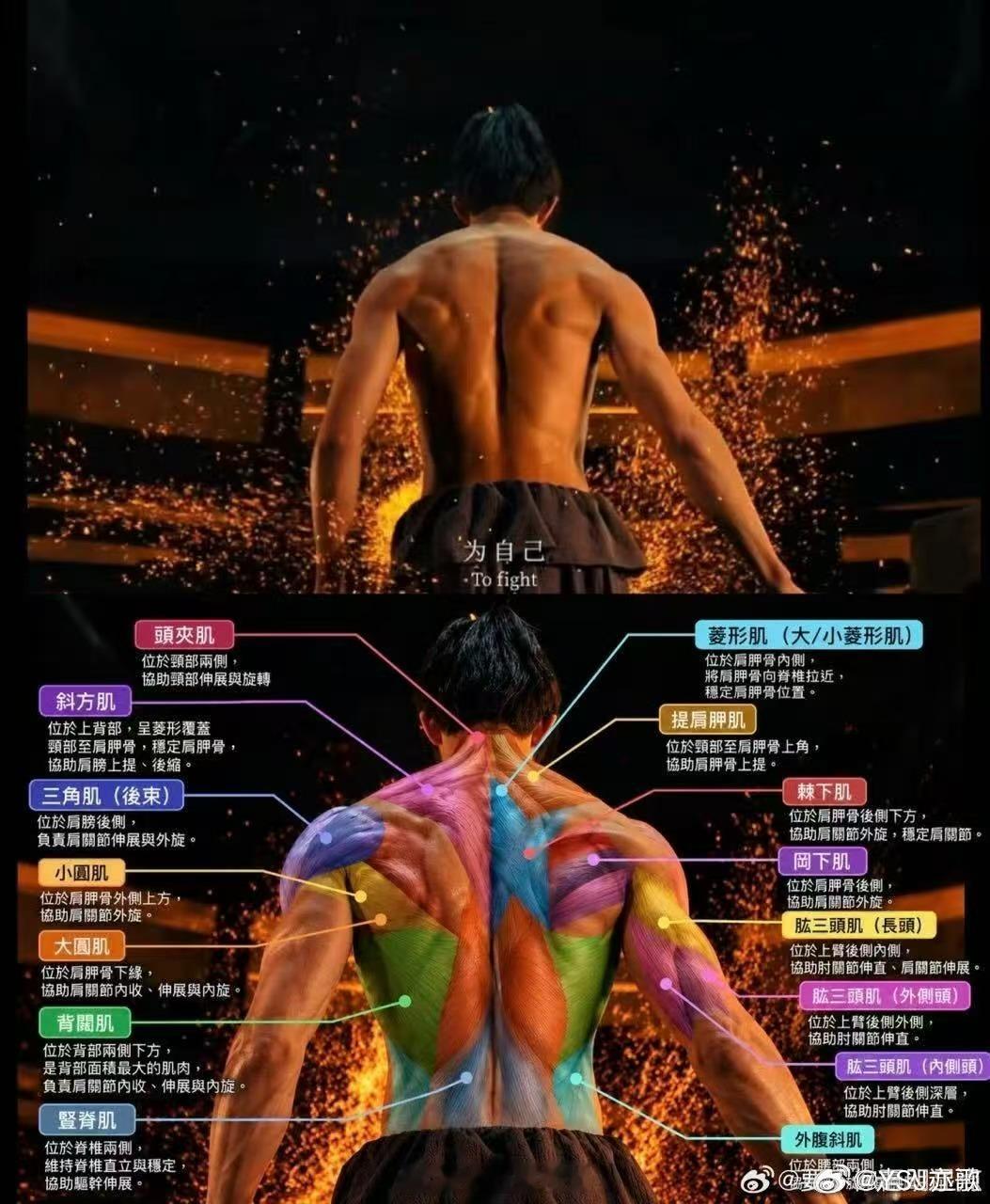 盯着吴磊的肩背看了十分钟 期待《剑来》正片，想看拥有这样武者体态的吴磊，演绎陈平