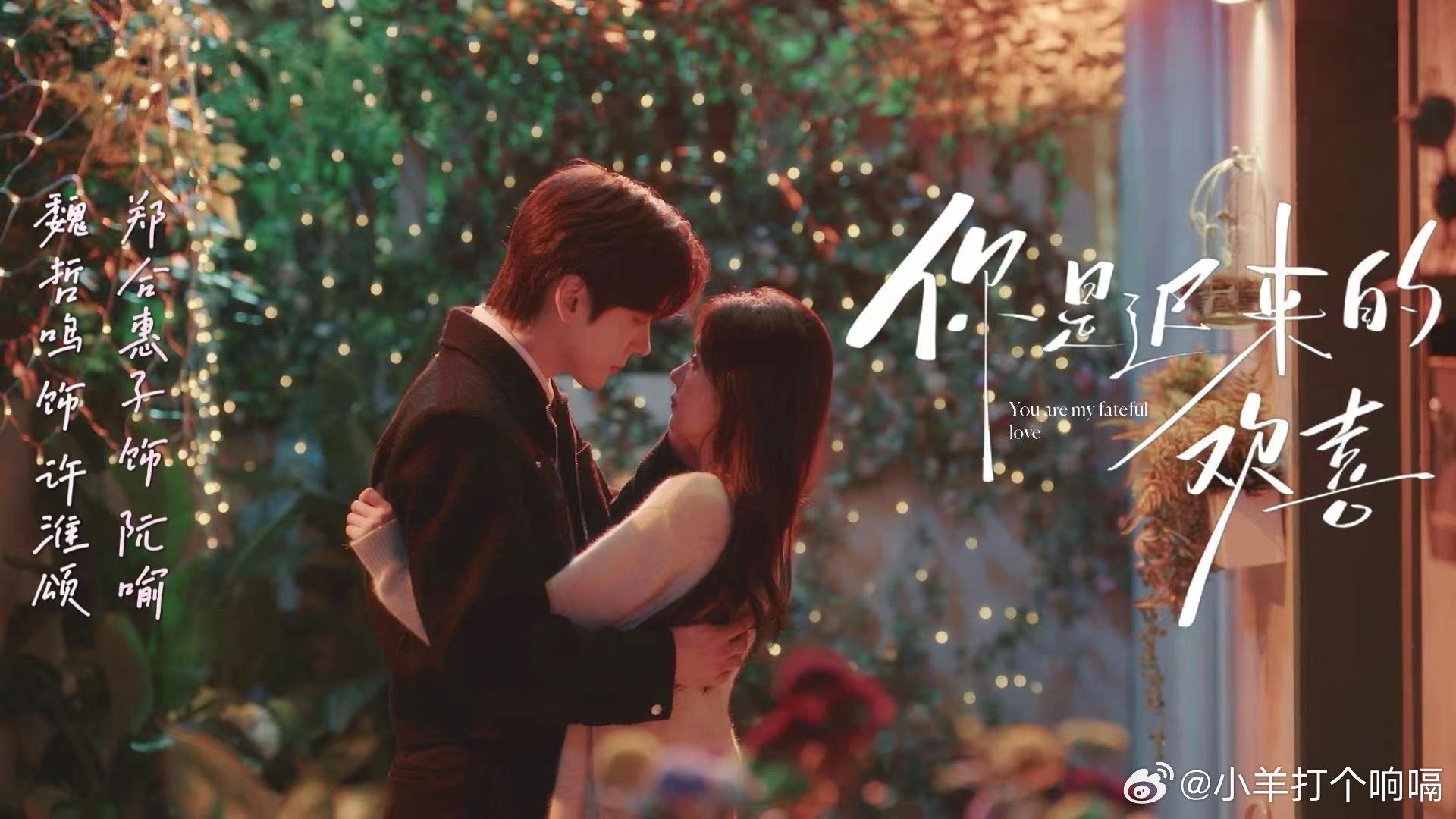 你是迟来的欢喜定档你是迟来的欢喜定档0326 把暗恋写成小说被告抄袭，结果请来的