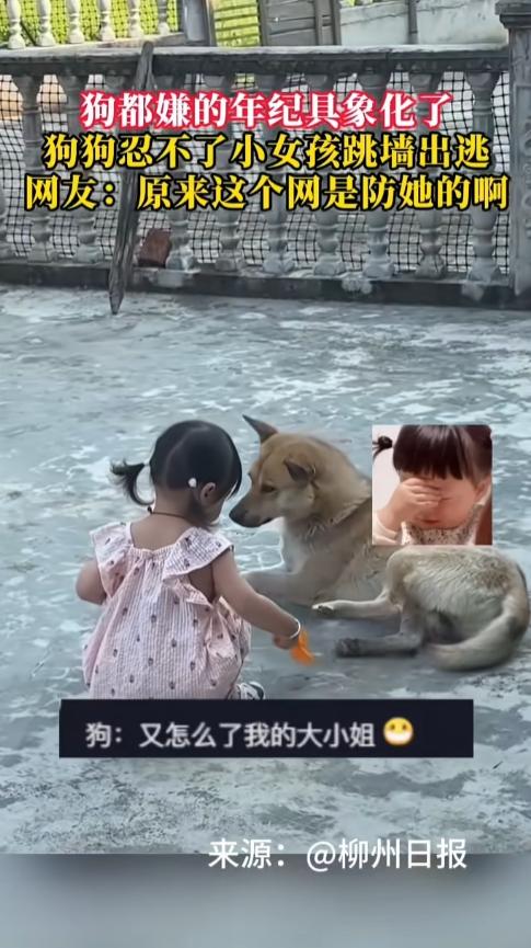 “万万没想到！”江西九江，一岁半女孩回老家，看见院中熟睡的狗子，就跑过去想和狗子