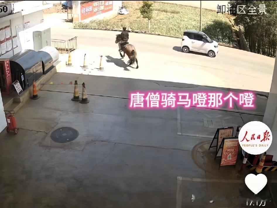 谁刷到这个现实版唐僧骑马了？
大马路直接策马奔腾，本以为潇洒拉风，下一秒直接慌了